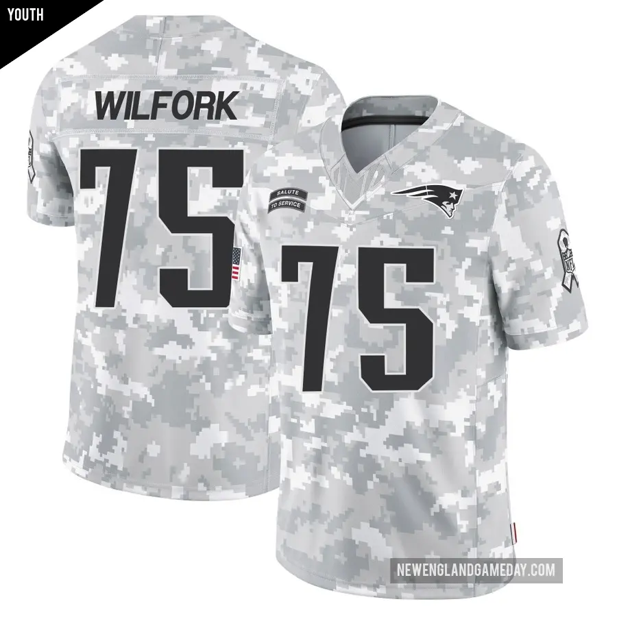 Youth New England Patriots ＃75 Vince Wilfork Arctic Camo Limited 2024 Salute to Service Jersey
