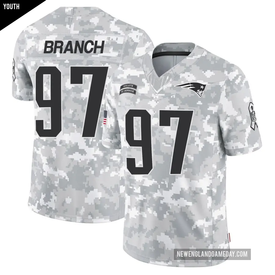 Youth New England Patriots ＃97 Alan Branch Arctic Camo Limited 2024 Salute to Service Jersey